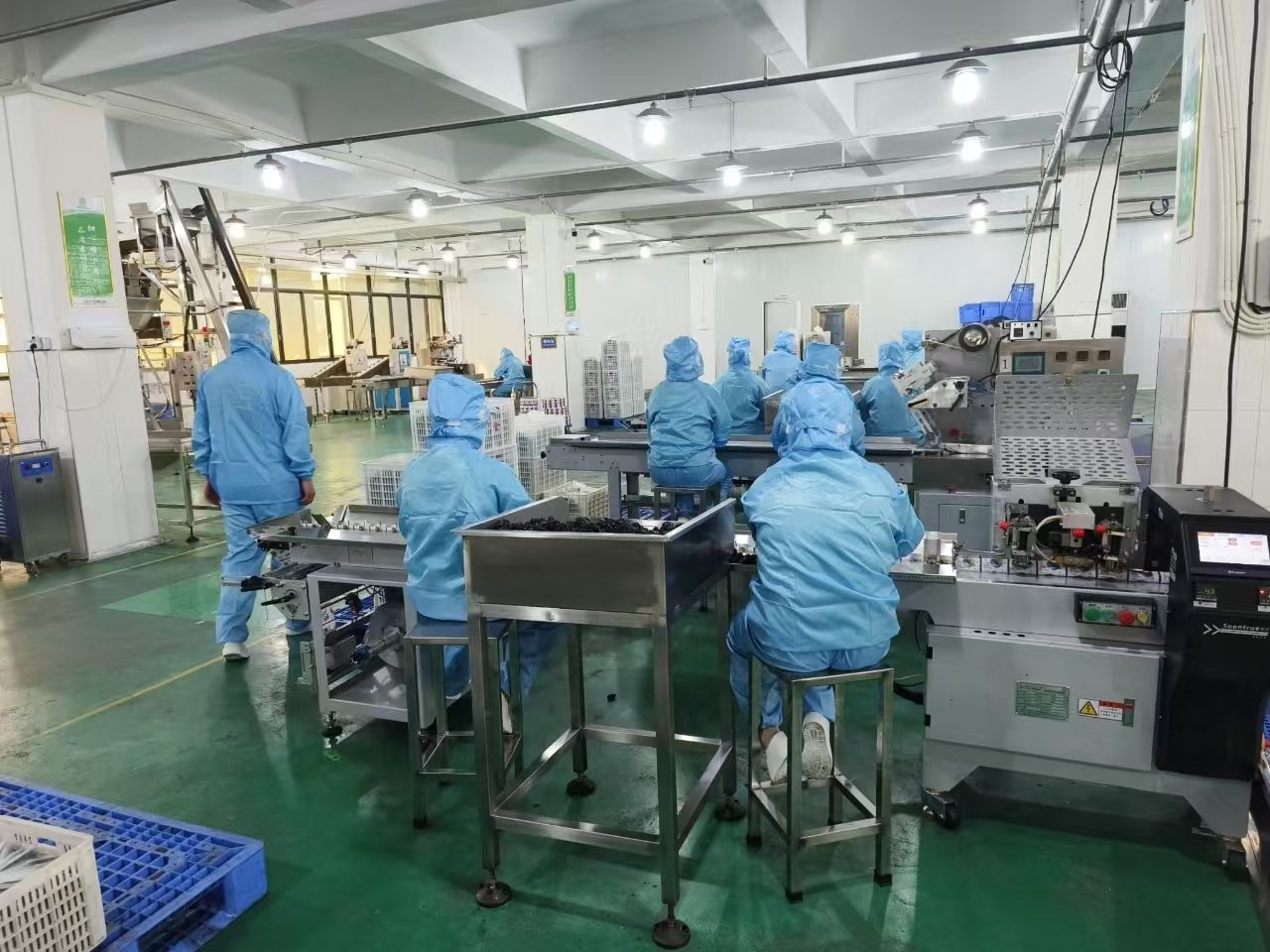 Chinese food factory production line and hygiene workshop
