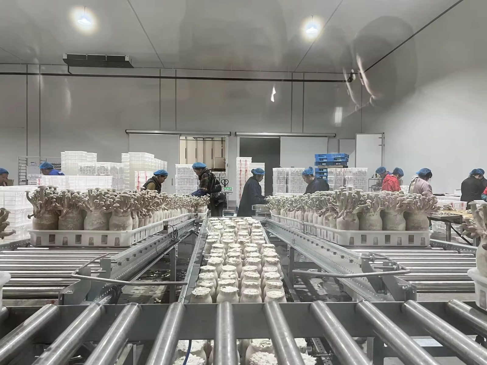 Food production line and cold chain at a China supplier