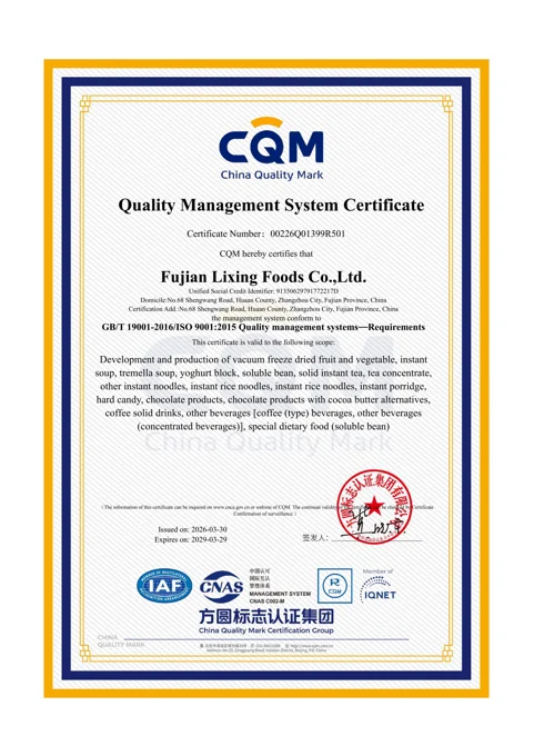 ISO 9001 — Certificate thumbnail